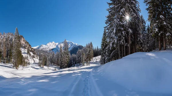 Солнечный зимний пейзаж в австрийском городе Пинцбург — стоковое фото