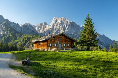 Alplerdeki Idyllic ahşap kulübe, Salzburg, Avusturya