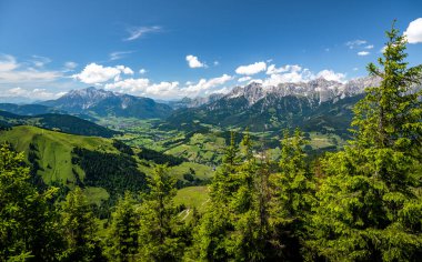Maria Alm ve Saalfelden, Salzburg, Avusturya 'da yaz mevsimi manzarası