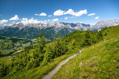 Alplerde Idylic yürüyüş yolu, Salzburg, Avusturya