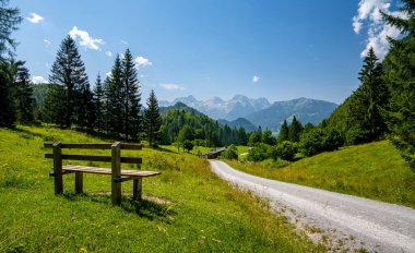 Yaz manzaralı Almweg 'in yanında oturan Unken, Pinzgau, Salzburger Land, Avusturya