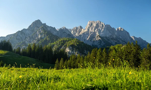 Reiter Steinberge ve alp çayırı akşam ışığında, Salzburg, Avusturya