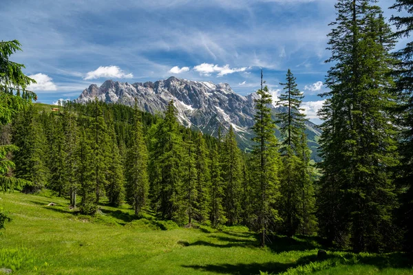 Summer alpine landscape with forest and mountain range, Hochkoenig, Maria Alm, Dienten, Salzburg, Austria — Zdjęcie stockowe