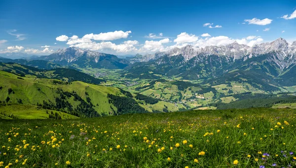 Łąka kwiatowa z panoramicznym widokiem na Marię Alm i Saalfelden, Salzburg, Austria — Zdjęcie stockowe