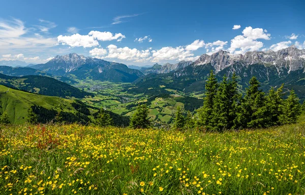 Summer alpine landscape with alpine pastures, forest and mountain range, Hochkoenig, Maria Alm, Dienten, Salzburg, Austria — Zdjęcie stockowe