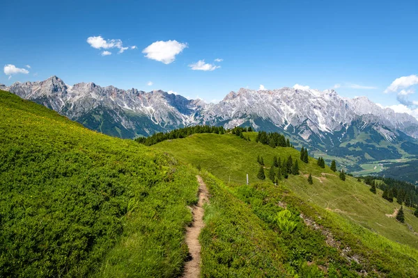 Alpler, Salzburg, Avusturya 'da huzurlu bir yaz manzarasında yürüyüş yapmak.