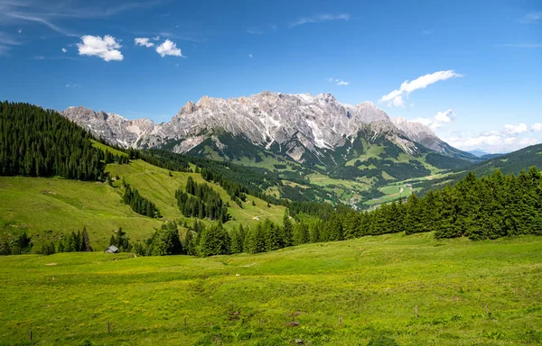 Letnia alpejska łąka w Alpach, masyw Hochkoenig, Maria Alm, Dienten, Salzburg, Austria — Zdjęcie stockowe
