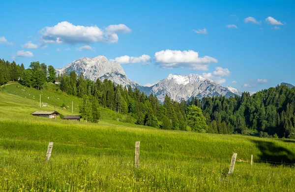 Arkasında dağlar olan Idyllic yaz çayırı Heutal, Unken, Pinzgau, Salzburger Land, Avusturya