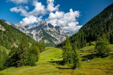 Ramsau, Bavyera, Almanya yakınlarındaki Klausbachtal 'da yaz mevsimi
