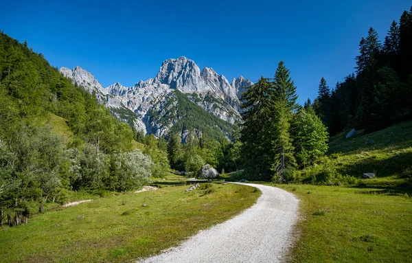 Szlak turystyczny do Bindalm z imponującymi szczytami Reiteralm w tle, Ramsau, Bawaria, Niemcy — Zdjęcie stockowe