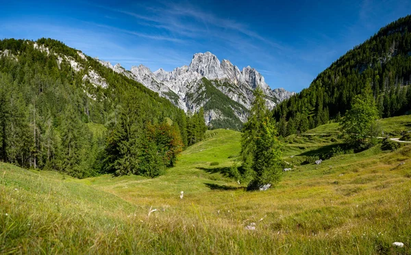 Panorama of a Bavarian mountain landscape, Ramsau, Bavaria, Germany — Zdjęcie stockowe