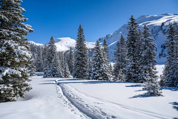 Sentier de randonneurs à ski dans un paysage alpin enneigé, Rauris, Salzburger Land, Autriche — Photo