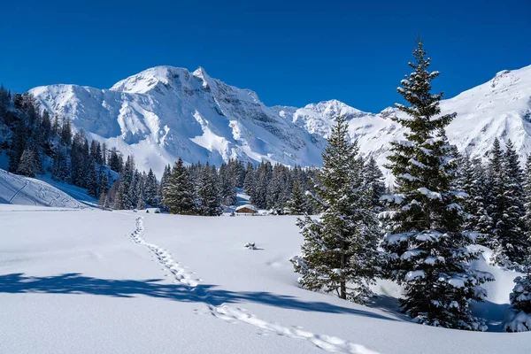 Trail of snowshoeers in snow-covered alpine landscape, Rauris, Salzburger Land, Austria — стокове фото