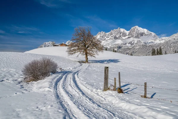 Idyllic winter landscape, Wilder Kaiser, Kitzbuehel, Tyrol, Austria — стокове фото