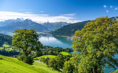 Salzburger Toprakları 'nda yaz alp manzarası, Zell am See, Avusturya, Avrupa