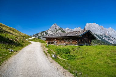 Etkileyici bir dağ zemininin önündeki dağlık bir kulübeye uzanan çakıl patikalı yaz manzarası, Salzburg, Avusturya, Avrupa