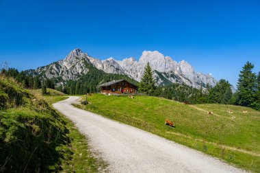 Etkileyici bir dağ zemininin önündeki dağlık bir kulübeye uzanan çakıl patikalı yaz manzarası, Salzburg, Avusturya, Avrupa
