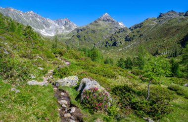 Doğu Tyrol, Tyrol, Avusturya, Avrupa 'da huzurlu bir dağ manzarasında yürüyüş yolu