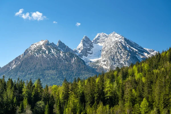 雪は緑の木 Ramsau Berchtesgaden バイエルン ドイツ ヨーロッパの前でHochchchchangeをカバーしました — ストック写真