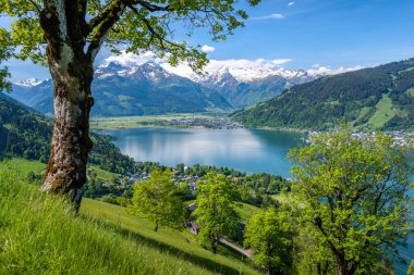 Avusturya 'daki Idyllic yaz manzarası, Zell am See, karla kaplı Kitzsteinhorn göl, Pinzgau, Salzburger Land, Avusturya, Avrupa