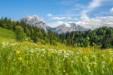 Idyllic alpine landscape in Austria, Heutal, Unken, Pinzgau, Salzburger Land, Austria, Europe