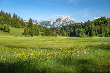 Avusturya, Heutal, Unken, Pinzgau, Salzburger Toprakları, Avusturya, Avrupa 'da Idyllic Alp arazisi