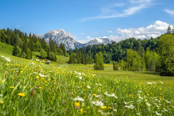 Idylliczny Krajobraz Alpejski Austrii Heutal Unken Pinzgau Salzburger Land Austria — Zdjęcie stockowe