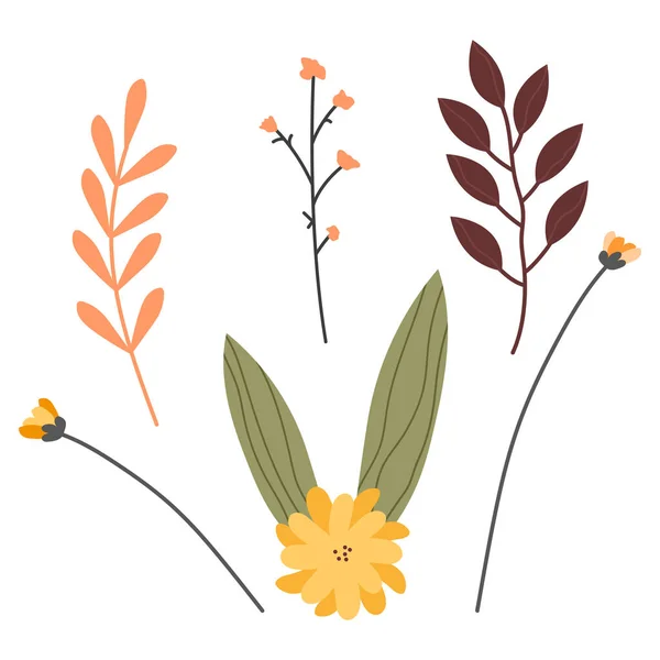 Autumn Flowers Hand Drawn Illustration — Stock Vector