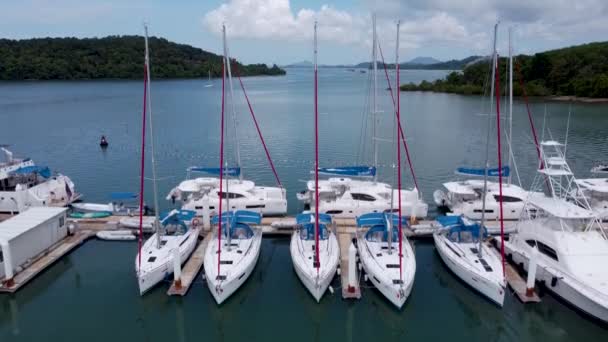 Sailboats Lined Row Marina Port Identical Boats Next Each Other — Stock Video