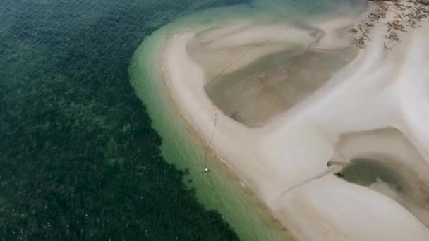 热带海滩 海岸线和海藻的沙滩 从上方看 — 图库视频影像