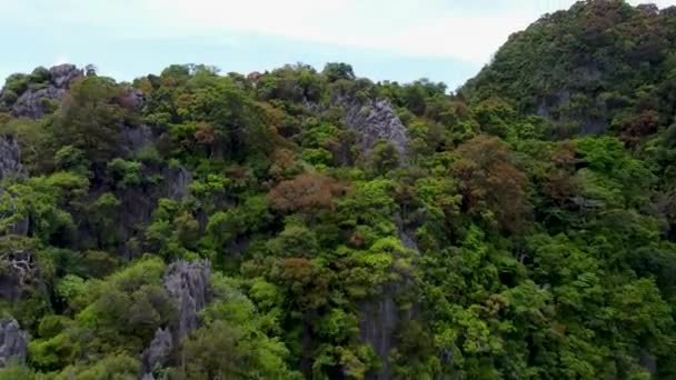 Vápencové Útesy Pokryté Tropickou Vegetací Phang Nga Bay Thajsku Výhled — Stock video