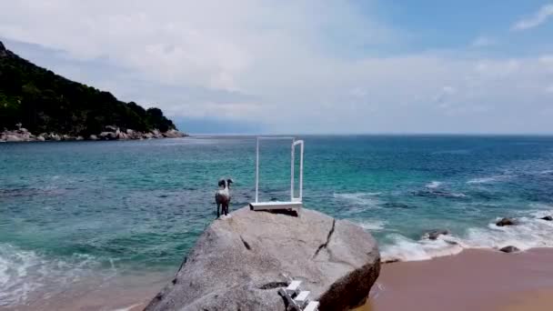 Una Gran Piedra Orilla Ella Una Ventana Una Escultura Animal — Vídeos de Stock