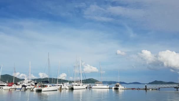 セーリングボートとモーターカタマランは 晴れた日に熱帯のヨットマリーナの桟橋に係留されています ロイヤリティフリーストック映像