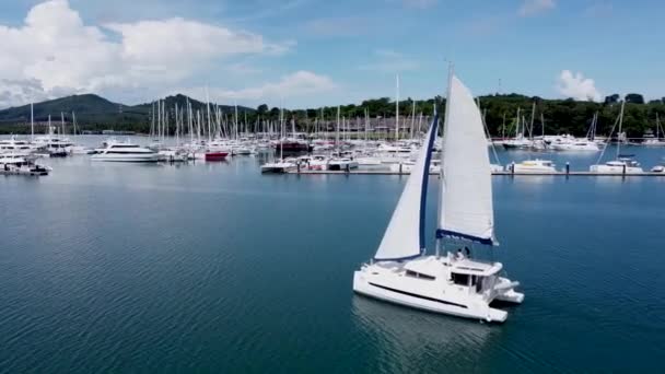 Nouveau Catamaran Voile Avec Voiles Dépliées Long Marina Yacht Catamaran — Video