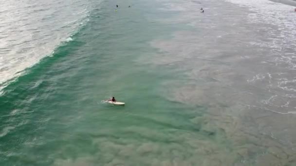 Surfista Sua Tavola Sono Spazzati Una Potente Onda Largo Della — Video Stock