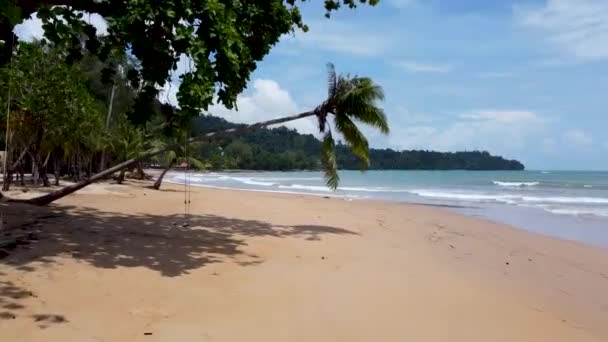 海滩上挂着一棵棕榈树 在热带地区的海滩上的棕榈树下驾驶无人驾驶飞机 — 图库视频影像
