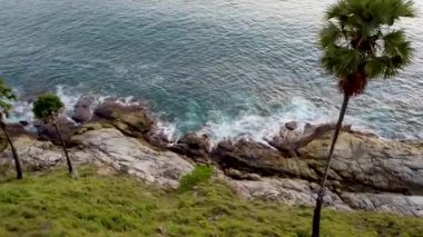 Kıyıdaki dalgalar kayalara, palmiye ağaçlarına, drone manzarasına çarpar.