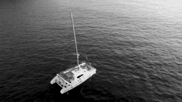 Yelkenli Katamaran Dalgalar Üzerinde Yüzüyor Siyah Beyaz Video Insansız Hava — Stok video