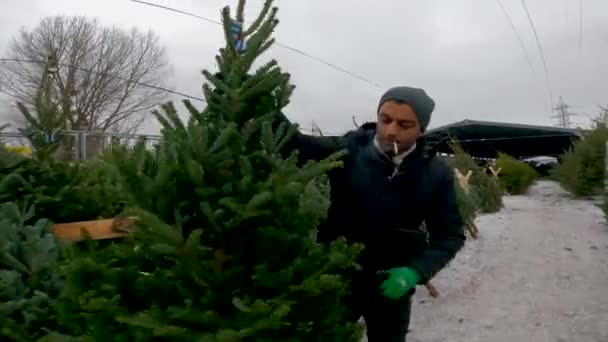 Een Armeense Man Verkoopt Kerstbomen Aan Kerstboom Bazaar Het Centrum — Stockvideo