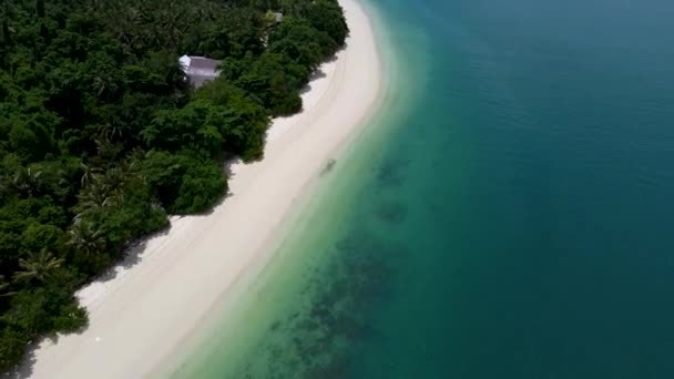 Sandy Beach Tropical Island Deserted Coast Tropics View — Stock Video