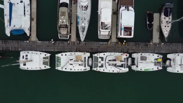 Motoros Jachtok Vitorlás Katamaránok Hajók Állnak Kikötőben Kilátás Felülről — Stock videók