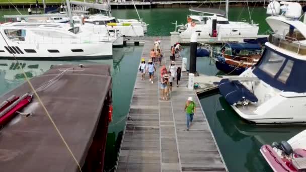 Phuket Thailand September 2020 Group Tourists Walks Pier Yacht Marina — Stock Video