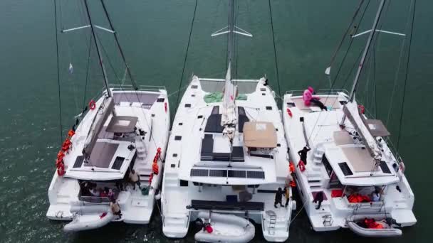 Catamarani Vela Ormeggiati Insieme Come Visto Drone — Video Stock