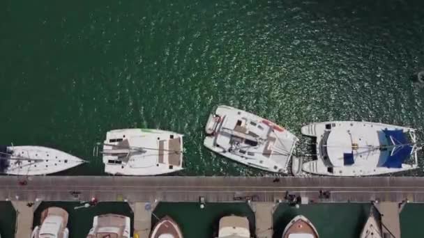 Catamarano Vela Emerge Uno Stretto Luogo Vicino Molo Barca Ormeggiata — Video Stock