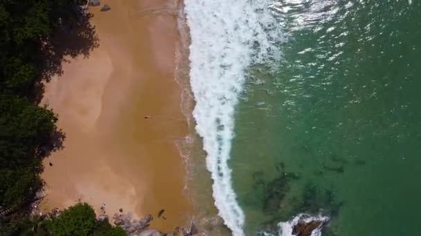 Una Ragazza Indistinguibile Costume Bagno Trova Sulla Costa Della Spiaggia — Video Stock