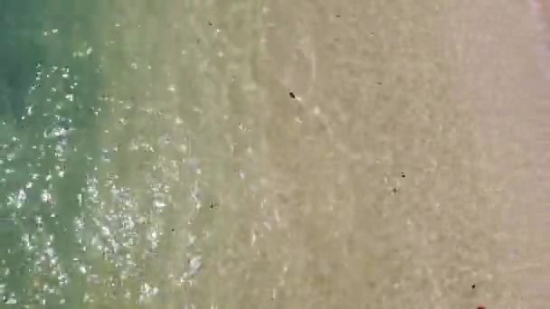 无人机从空中俯瞰着海滩 无人机从热带海滩上空起飞 — 图库视频影像
