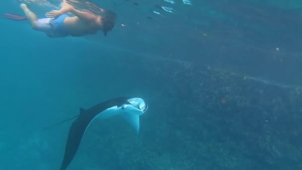 ヌサペニダ島の近くにある大きなケチが近くを泳いでいます — ストック動画