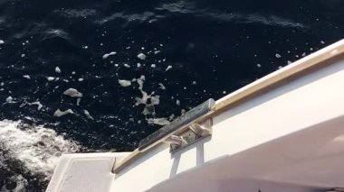 Yelkenli bir katamaranın yakınındaki deniz dalgalarının yavaş çekim videosu.