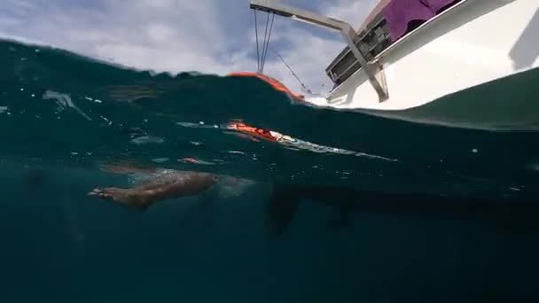 Krabi Tajlandia Grudnia 2019 Mężczyzna Kamizelce Ratunkowej Podciąga Się Linach — Wideo stockowe