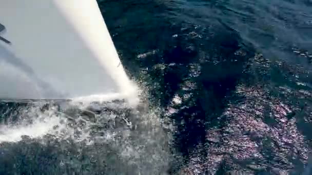 セーリングカタマランの弓は海の表面を切断し セーリングカタマランは海に沿って行き スプレーは異なる方向に飛ぶ — ストック動画